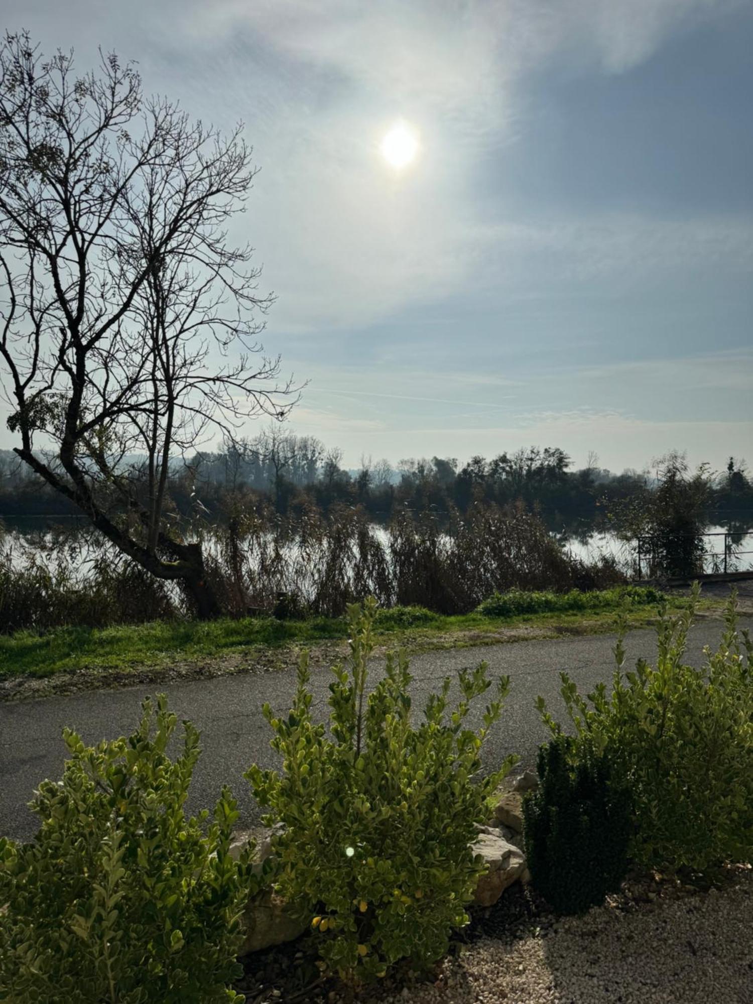 Maison Au Bord De L'Eau Les Roches Rochefort-sur-Nenon Exterior foto